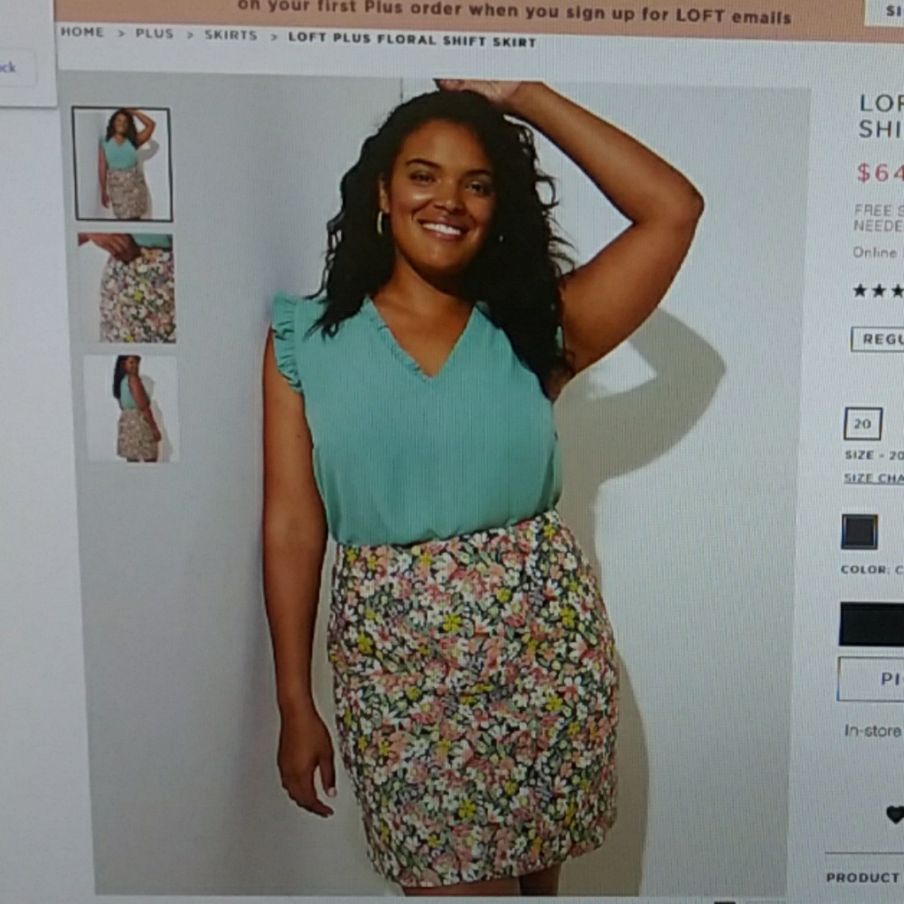 Embroidered A-Line Skirt